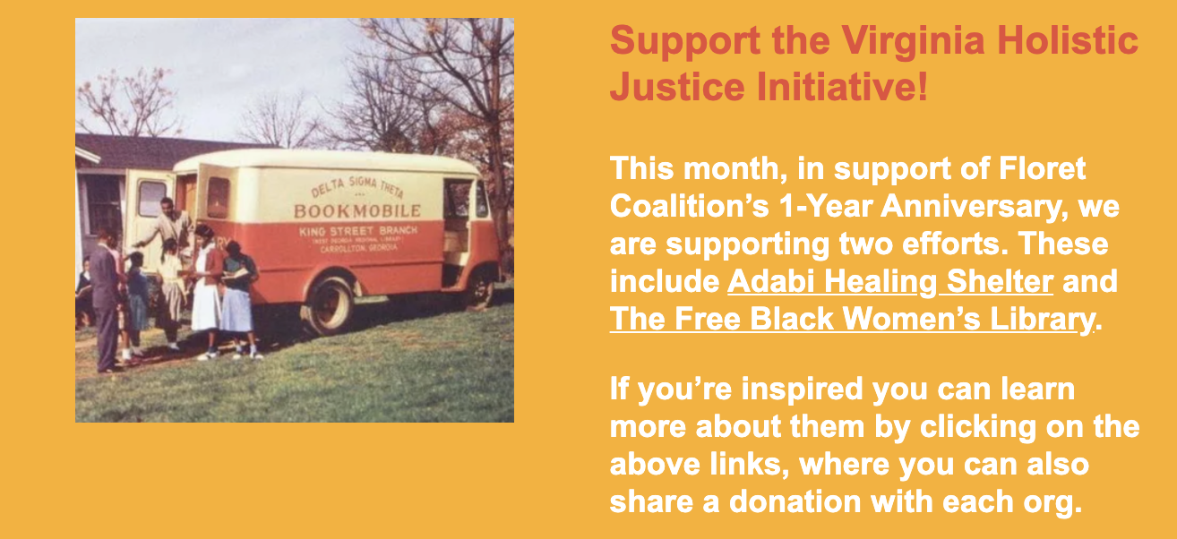 Virginia Holistic Justice Initiative