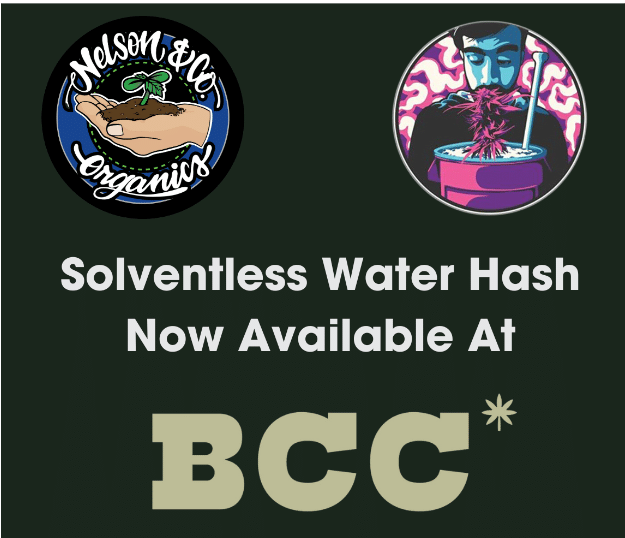 Solventless Water Hash now available at BCC